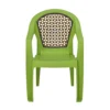 Nilkamal Paradise Plastic Arm Chair (Lush Green Season Rust Brown Mustard Yellow) (3)