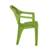Nilkamal Paradise Plastic Arm Chair (Lush Green Season Rust Brown Mustard Yellow) (4)