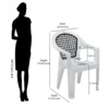 Nilkamal Paradise Plastic Arm Chair (Milky White & Black) (2)